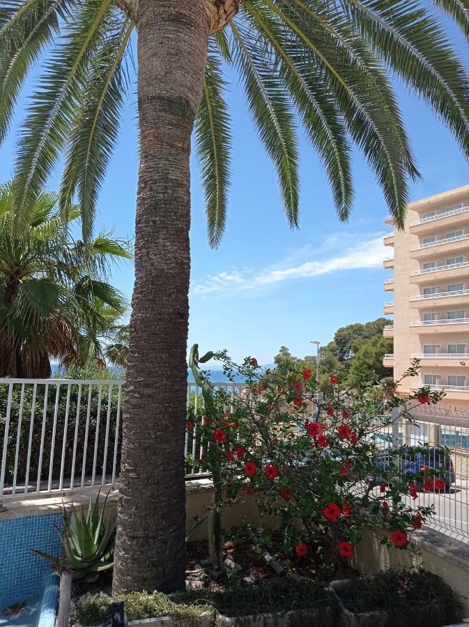 Apartamento Tropical Font 1ª Linea Playa Appartement